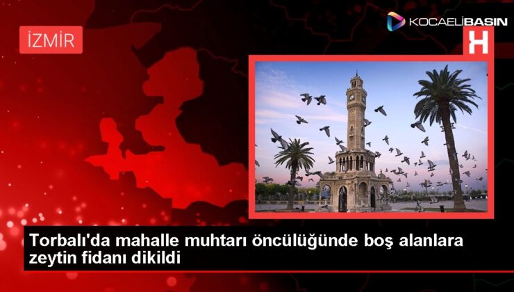 Torbalı’da mahalle muhtarı öncülüğünde boş alanlara zeytin fidanı dikildi