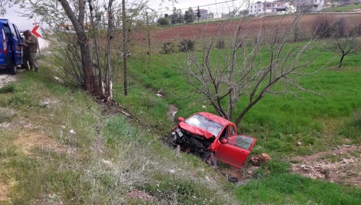 Ağaca çarpan otomobil şarampole yuvarlandı