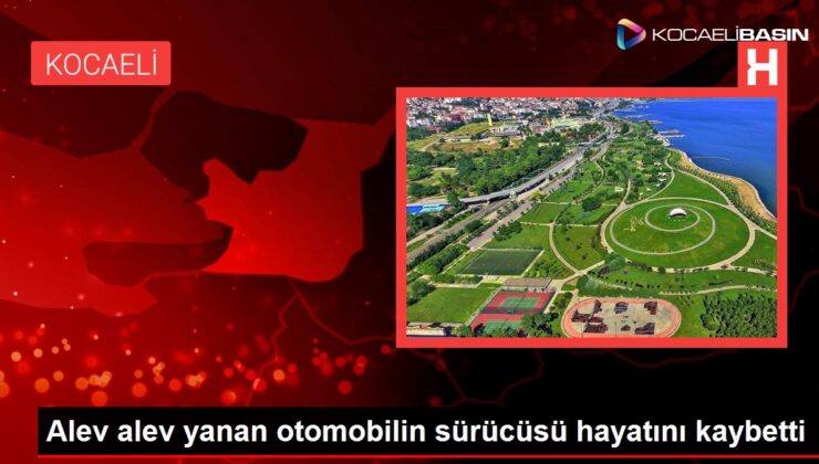 Alev alev yanan otomobilin sürücüsü hayatını kaybetti