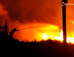 Bodrum’da makilik yangını: Alevler büyüyor