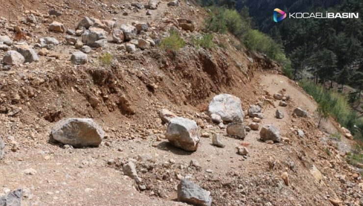 Dört öğretmenin öldüğü bölgede yola yine kaya düştü