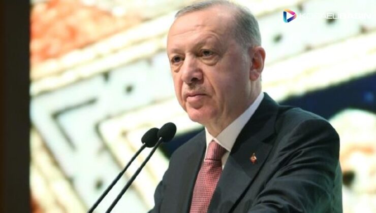 Erdoğan: Hayvan, yem alımlarını destekleyeceğiz