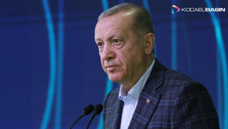 Erdoğan: Tilki yetişemediği üzüme koruk dermiş, tilkilerden nedir çektiğimiz