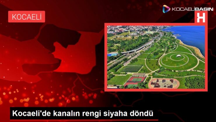 Kocaeli’de kanalın rengi siyaha döndü