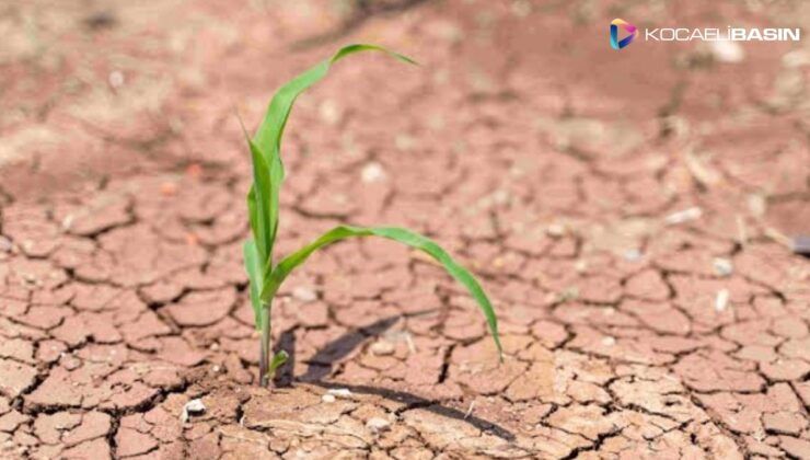 TEMA Vakfı’ndan seçim öncesi ‘Ekosiyaset Belgesi’