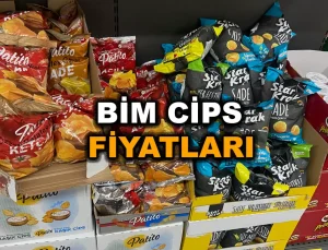 Bim Cips Fiyatları 2023