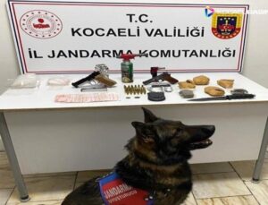 Kocaeli Jandarma’dan uyuşturucu operasyonu