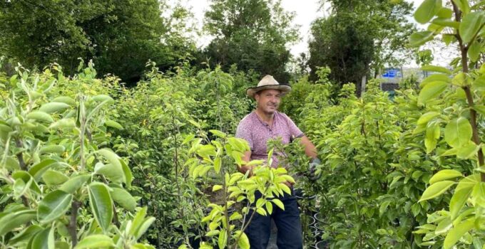 Rüzgarlı havada çiçeklerin akşam sulanması gerekiyor