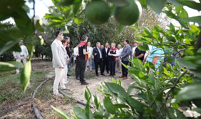 “Akdeniz Meyve Sineği İle Mücadelede Biyoteknik Yöntemlerin Yaygınlaştırılması Projesi”