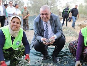 Edremit Belediyesi’nde zeytin hasadı başladı