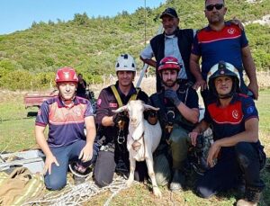 İzmir İtfaiyesi’nden yürekleri ısıtan kurtarma operasyonu