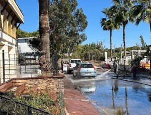 Kemer’de yeşil alanlarda bakım çalışması