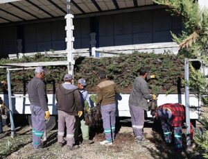 Nevşehir tarihinin en büyük ağaçlandırma seferberliği başlıyor.