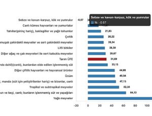 Tüik: Tarım ürünleri üretici fiyat endeksi (Tarım-ÜFE) yıllık %31,09 arttı, aylık %2,00 arttı