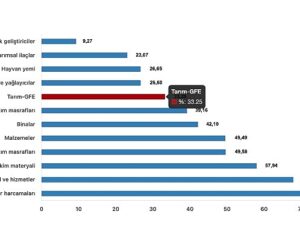 Tüik: Tarımsal girdi fiyat endeksi (Tarım-GFE) yıllık %33,25 arttı, aylık %1,39 arttı