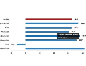 Tüik: Yurt Dışı Üretici Fiyat Endeksi (YD-ÜFE) yıllık %32,35 arttı, aylık %2,25 arttı