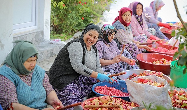 Aliağa’nın Doğal Çıtak Nar Ekşisi’nin Sofralara Uzanan Öyküsü