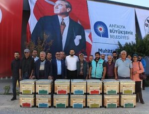 Büyükşehir’den Gazipaşalı arıcılara kovan desteği