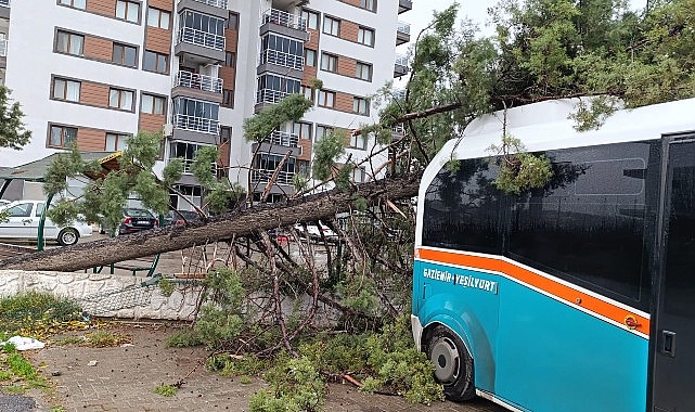 İzmir Büyükşehir Belediyesi 850 personel ve 640 araçla sahada