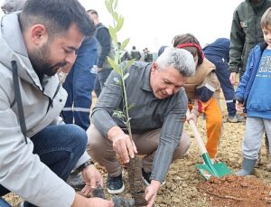 Kandıra’da 1.500 Defne Fidanı Toprakla Buluştu.