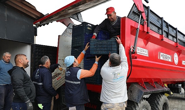 Seferihisar’da Zeytinyağı Sezonu Açıldı