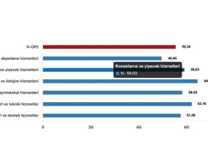 Tüik: Hizmet Üretici Fiyat Endeksi (H-ÜFE) yıllık %55,34 arttı, aylık %0,24 arttı