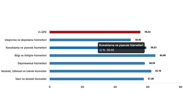 Tüik: Hizmet Üretici Fiyat Endeksi (H-ÜFE) yıllık %55,34 arttı, aylık %0,24 arttı
