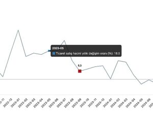 Tüik: Ticaret satış hacmi yıllık %12,7 arttı, perakende satış hacmi yıllık %15,9 arttı