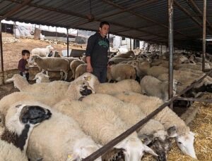 Yangın mağduru çiftçilere 225 ton yem desteği