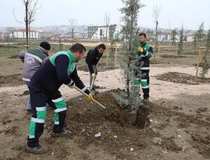 167 Fidan Engelliler İçin Toprakla Buluştu