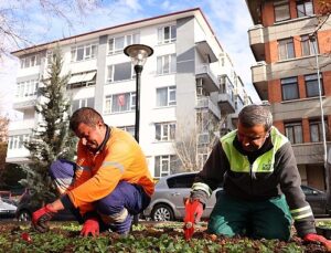 Çankaya parkları çiçek açıyor