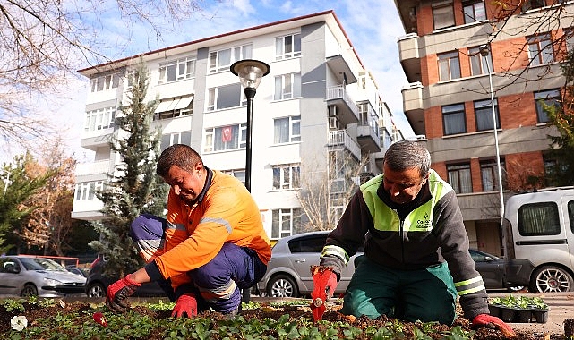 Çankaya parkları çiçek açıyor