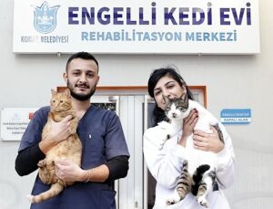 Konak’ın engelleri aşan Kedi Evi’nden sahiplenme çağrısı