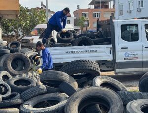 Sineklerin üreme alanı lastikler toplanıyor