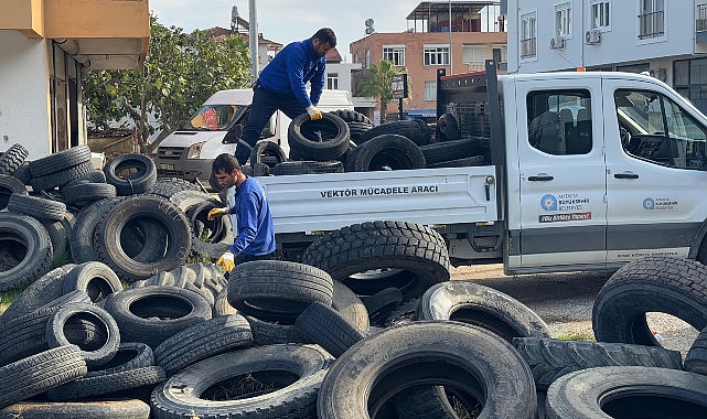 Sineklerin üreme alanı lastikler toplanıyor