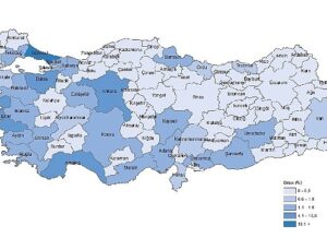 Tüik: Girişimlerin 2023 yılında doğum oranı 15,2 oldu