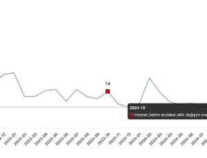 Tüik: Hizmet üretim endeksi yıllık %2,0 azaldı