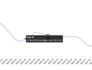 Tüik: Tarım ürünleri üretici fiyat endeksi (Tarım-ÜFE) yıllık %46,91 arttı, aylık %8,88 arttı