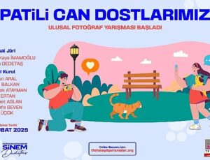 Üsküdar Belediyesi “Patili Can Dostlarımız” Ulusal Fotoğraf Yarışması Başladı