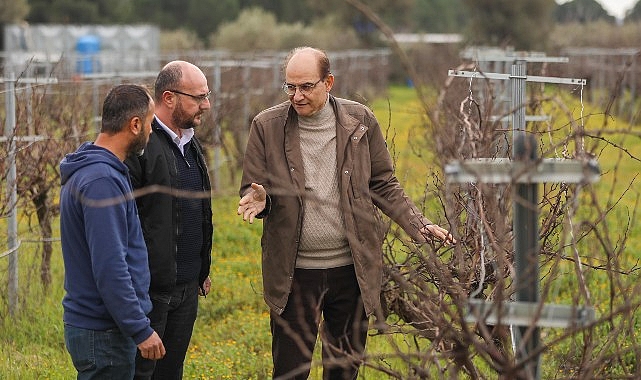 Buca’nın lezzetli  razakı üzümü coğrafi işaret almaya hazırlanıyor