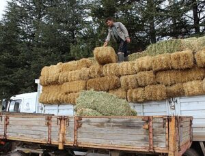 Elmalı Yuva’da saman desteği afetzedelerin yüzünü güldürdü