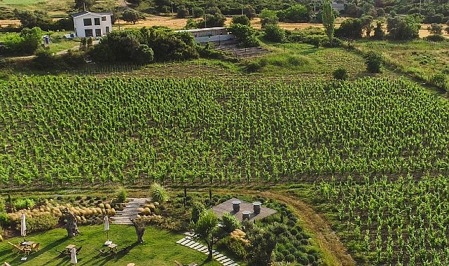 İzmir “Tercih Edilen Destinasyon” olmak için finalde