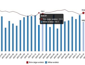 Dış Ticaret Endeksleri, Şubat 2025