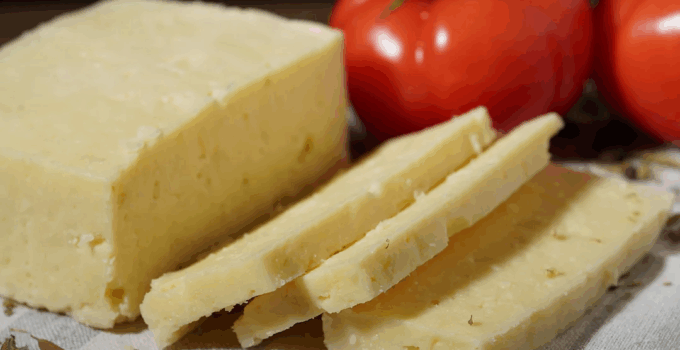 Ural Köylü: Türk Peynirlerini Uluslararası Pazarda Tanıtıyor